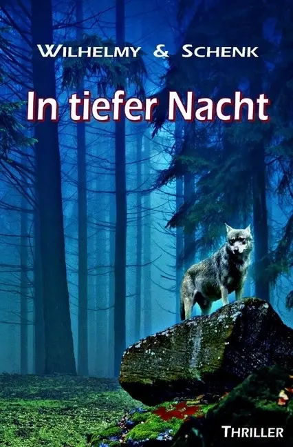 Cover: 9783746706757 | In tiefer Nacht | Birgit Wilhelmy (u. a.) | Taschenbuch | Deutsch