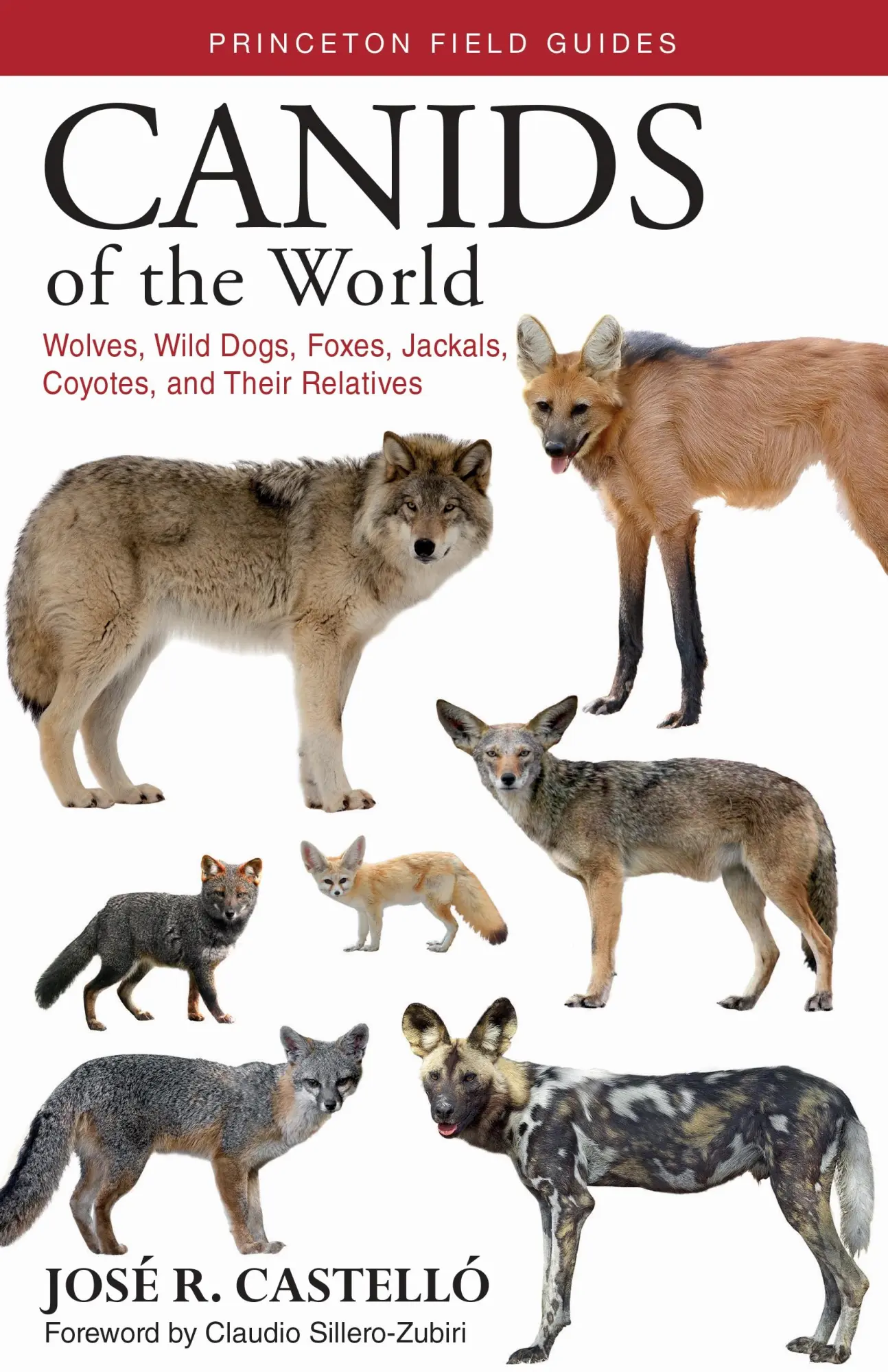 Cover: 9780691176857 | Canids of the World | José R Castelló | Taschenbuch | Englisch | 2018