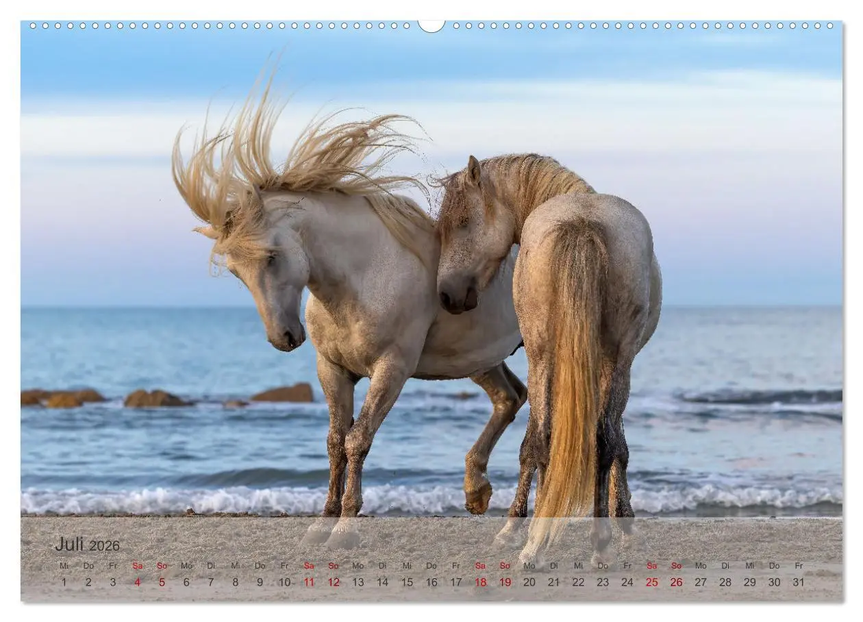 Bild: 9783457306857 | Die weißen Pferde der Camargue (hochwertiger Premium Wandkalender...