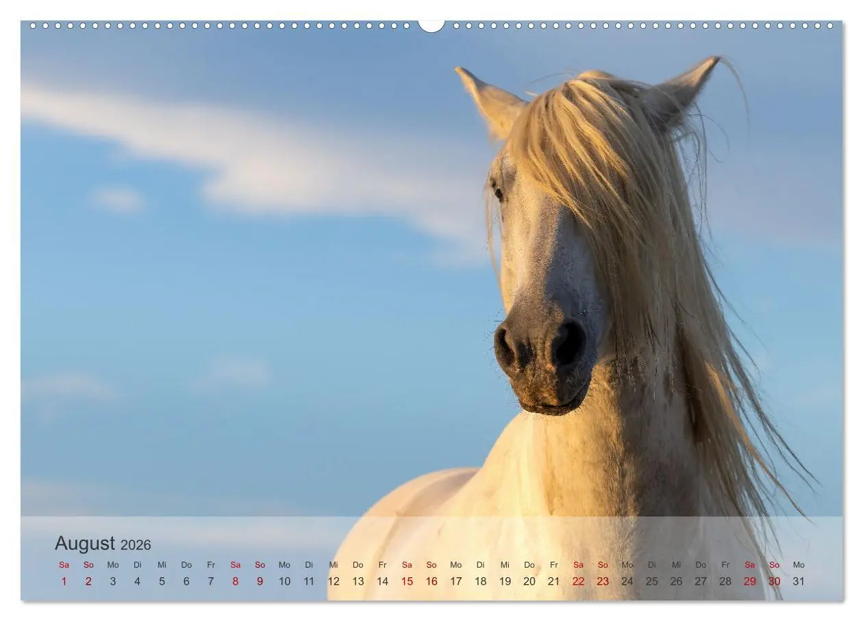 Bild: 9783457306857 | Die weißen Pferde der Camargue (hochwertiger Premium Wandkalender...