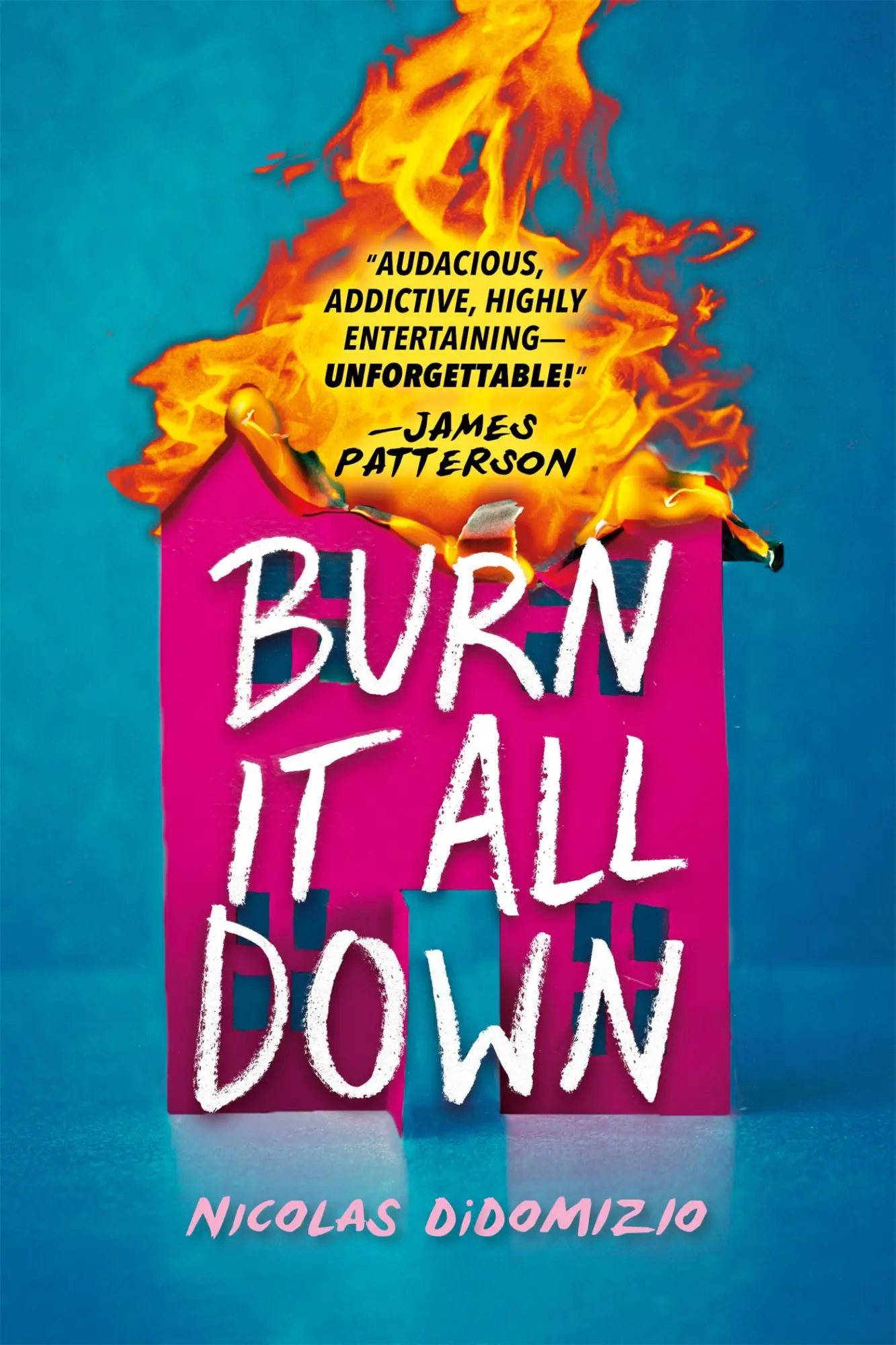 Cover: 9780316496957 | Burn It All Down | Nicolas Didomizio | Buch | Englisch | 2021