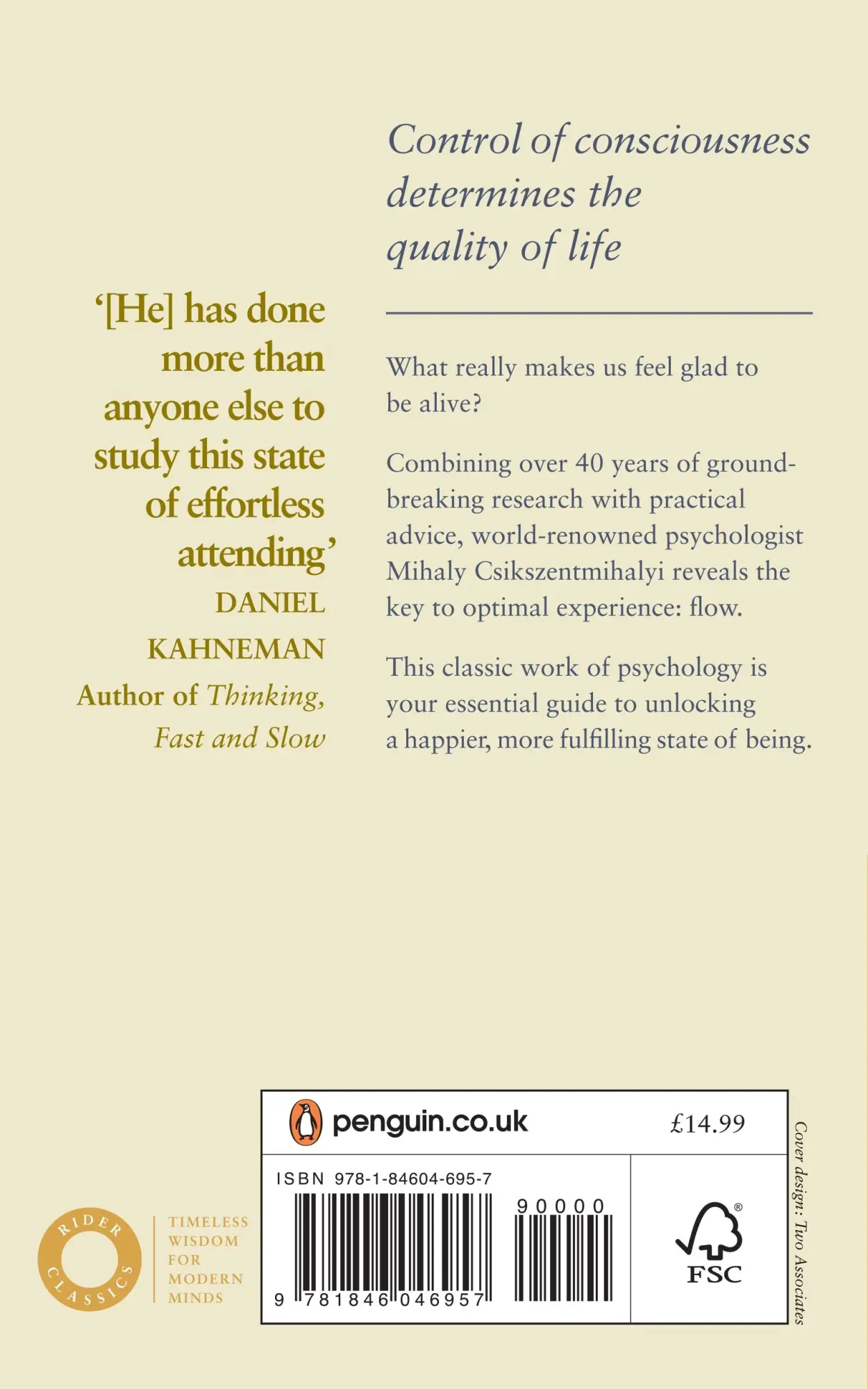 Rückseite: 9781846046957 | Flow | The Psychology of Happiness | Mihaly Csikszentmihalyi | Buch