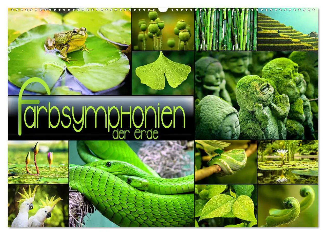 Cover: 9783457606957 | Farbsymphonien der Erde (Wandkalender 2026 DIN A2 quer), CALVENDO...