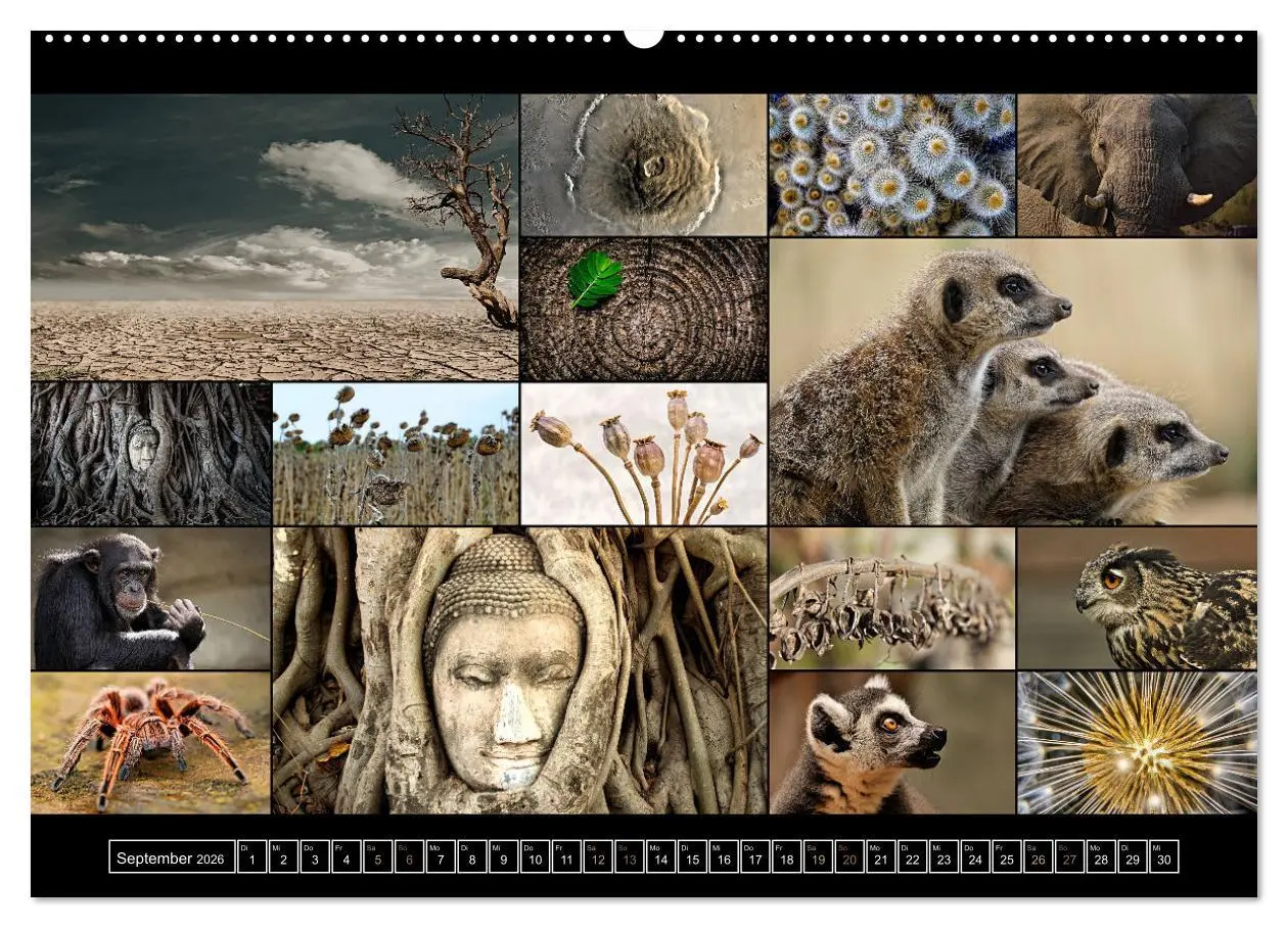 Bild: 9783457606957 | Farbsymphonien der Erde (Wandkalender 2026 DIN A2 quer), CALVENDO...