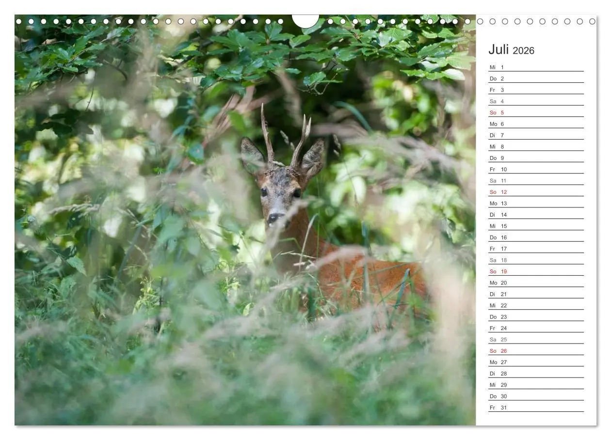 Bild: 9783516006957 | Emotionale Momente: Wild und Jagd. (Wandkalender 2026 DIN A3 quer),...