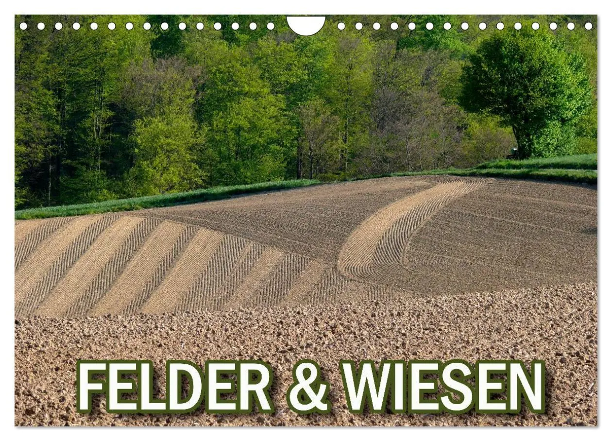 Cover: 9783516176957 | Felder und Wiesen (Wandkalender 2026 DIN A4 quer), CALVENDO...