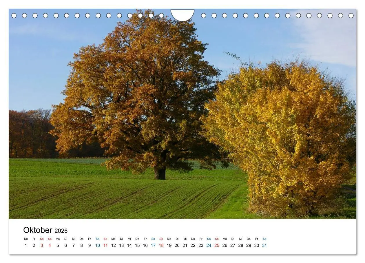 Bild: 9783516176957 | Felder und Wiesen (Wandkalender 2026 DIN A4 quer), CALVENDO...