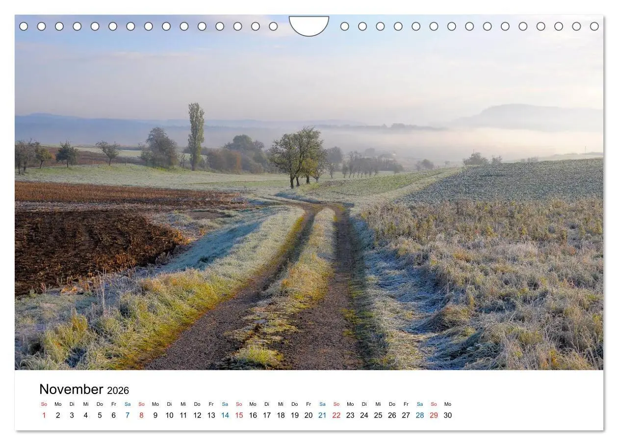 Bild: 9783516176957 | Felder und Wiesen (Wandkalender 2026 DIN A4 quer), CALVENDO...