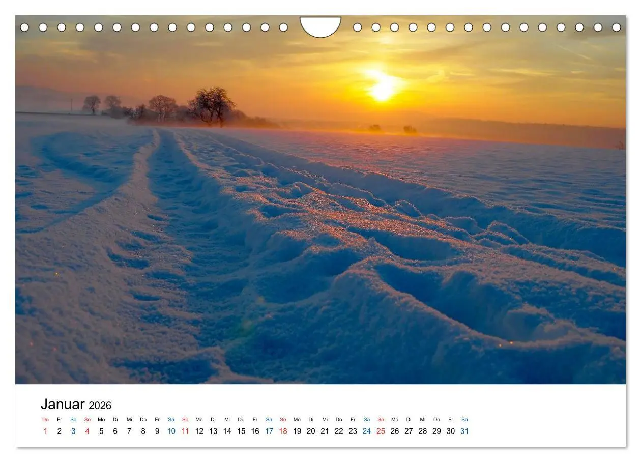 Bild: 9783516176957 | Felder und Wiesen (Wandkalender 2026 DIN A4 quer), CALVENDO...