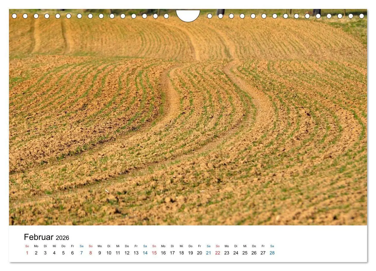 Bild: 9783516176957 | Felder und Wiesen (Wandkalender 2026 DIN A4 quer), CALVENDO...