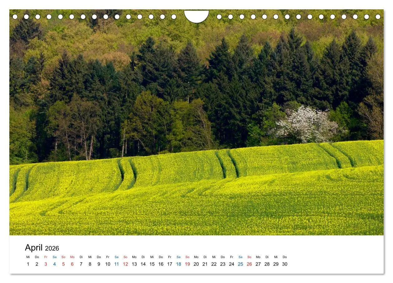 Bild: 9783516176957 | Felder und Wiesen (Wandkalender 2026 DIN A4 quer), CALVENDO...