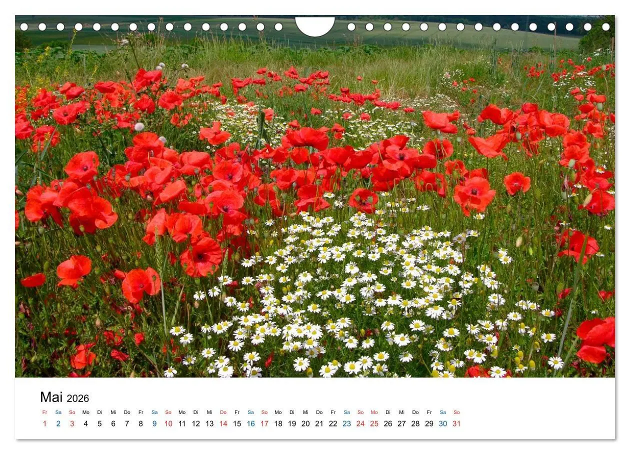 Bild: 9783516176957 | Felder und Wiesen (Wandkalender 2026 DIN A4 quer), CALVENDO...