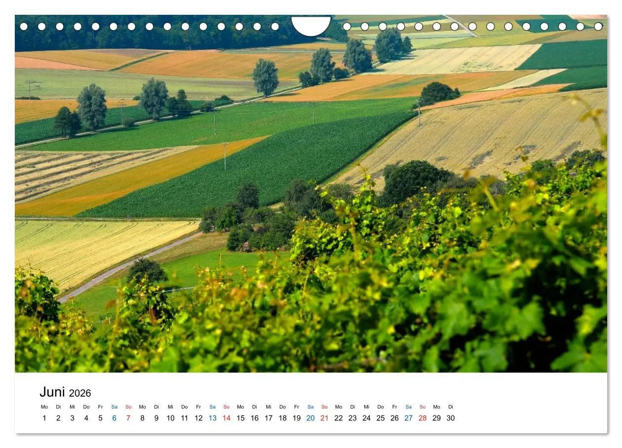 Bild: 9783516176957 | Felder und Wiesen (Wandkalender 2026 DIN A4 quer), CALVENDO...