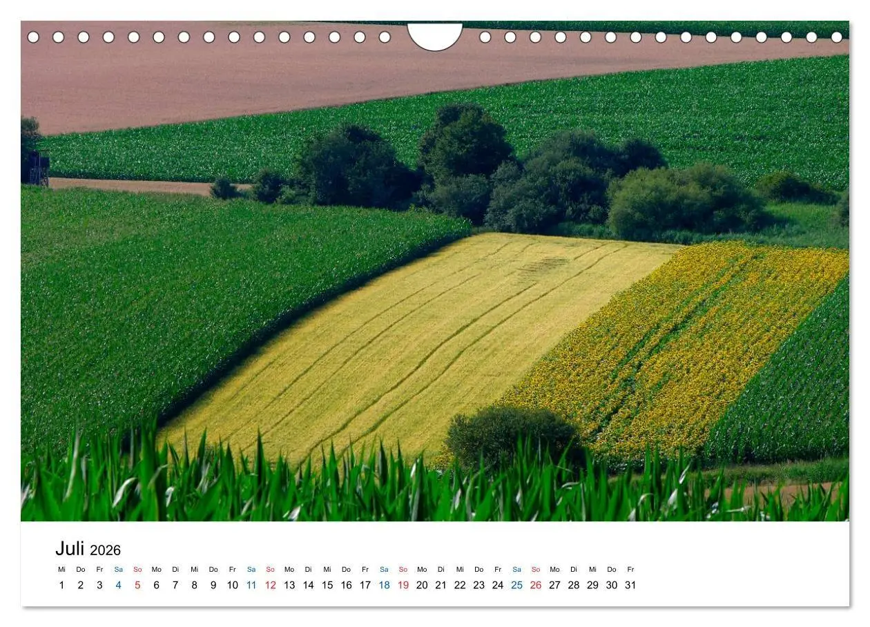 Bild: 9783516176957 | Felder und Wiesen (Wandkalender 2026 DIN A4 quer), CALVENDO...