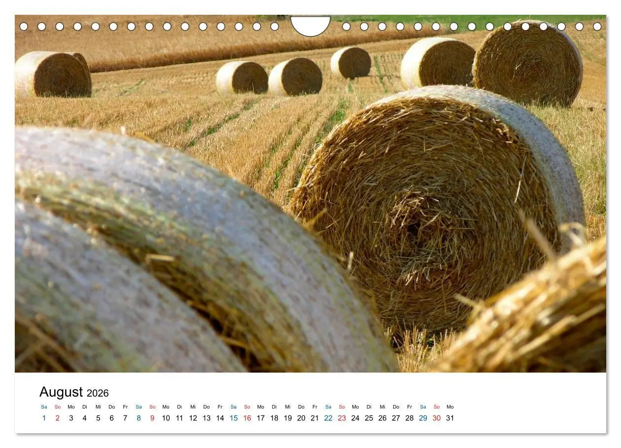 Bild: 9783516176957 | Felder und Wiesen (Wandkalender 2026 DIN A4 quer), CALVENDO...