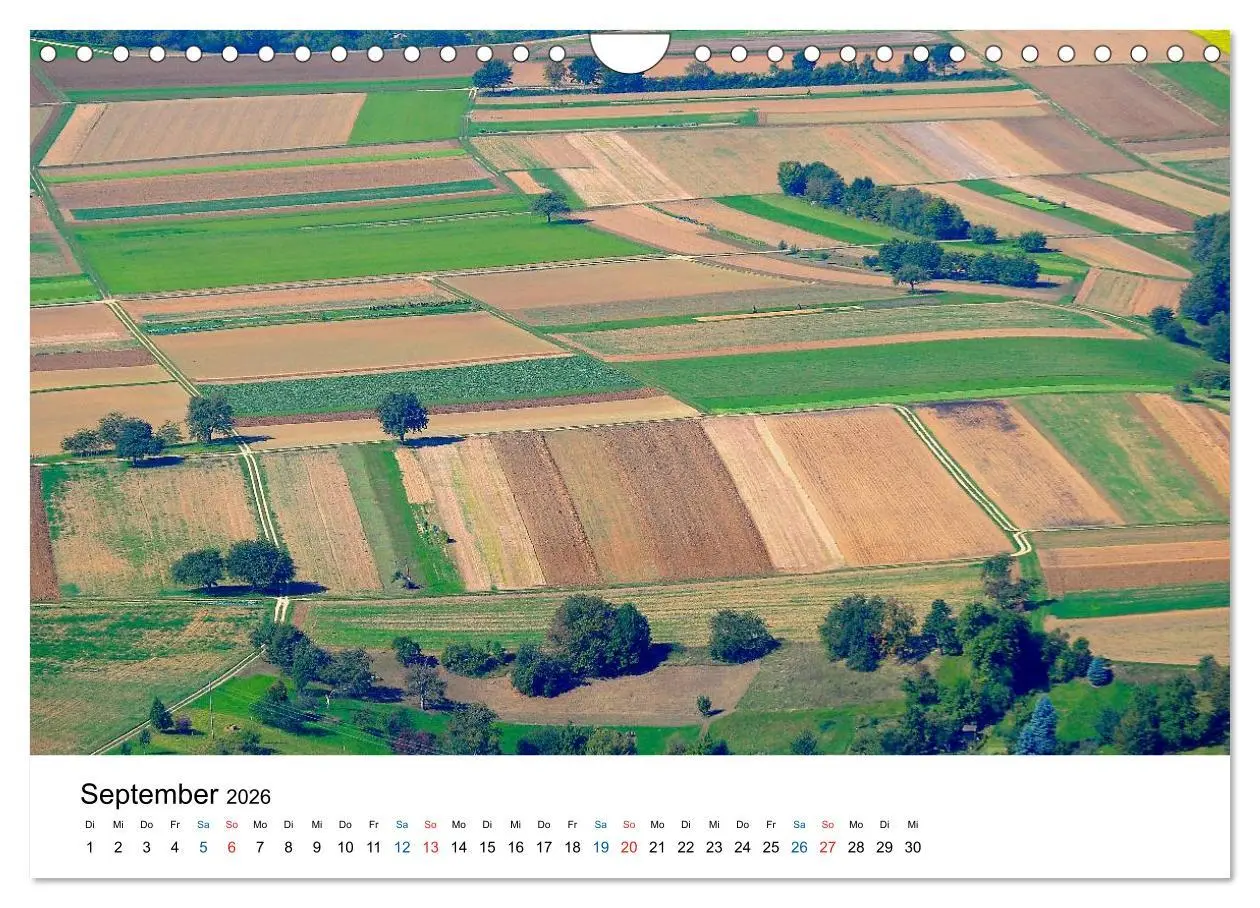 Bild: 9783516176957 | Felder und Wiesen (Wandkalender 2026 DIN A4 quer), CALVENDO...