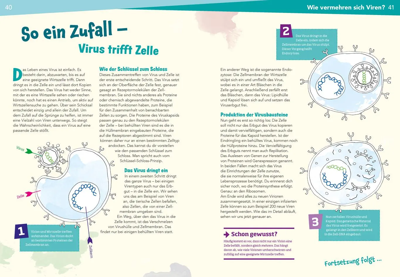 Bild: 9783788676957 | WAS IST WAS Naturwissenschaften easy! Biologie. Die Viren und wir