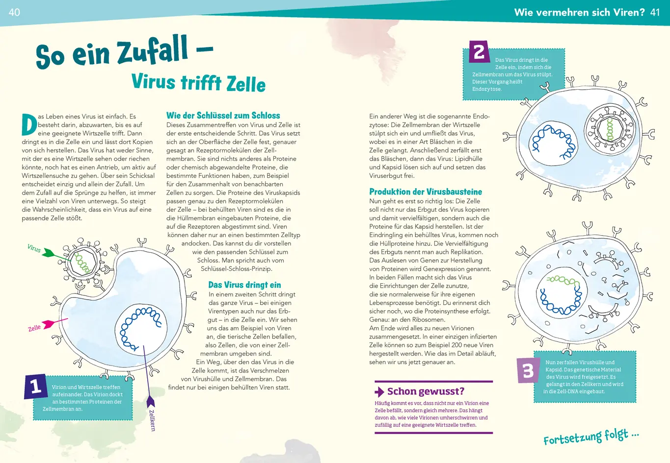 Bild: 9783788676957 | Was ist was Naturwissenschaften easy! Biologie. Die Viren und wir