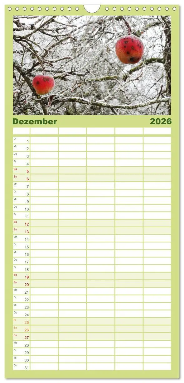 Bild: 9783516517057 | Familienplaner 2026 - Jahreszeiten mit 5 Spalten (Wandkalender, 21...