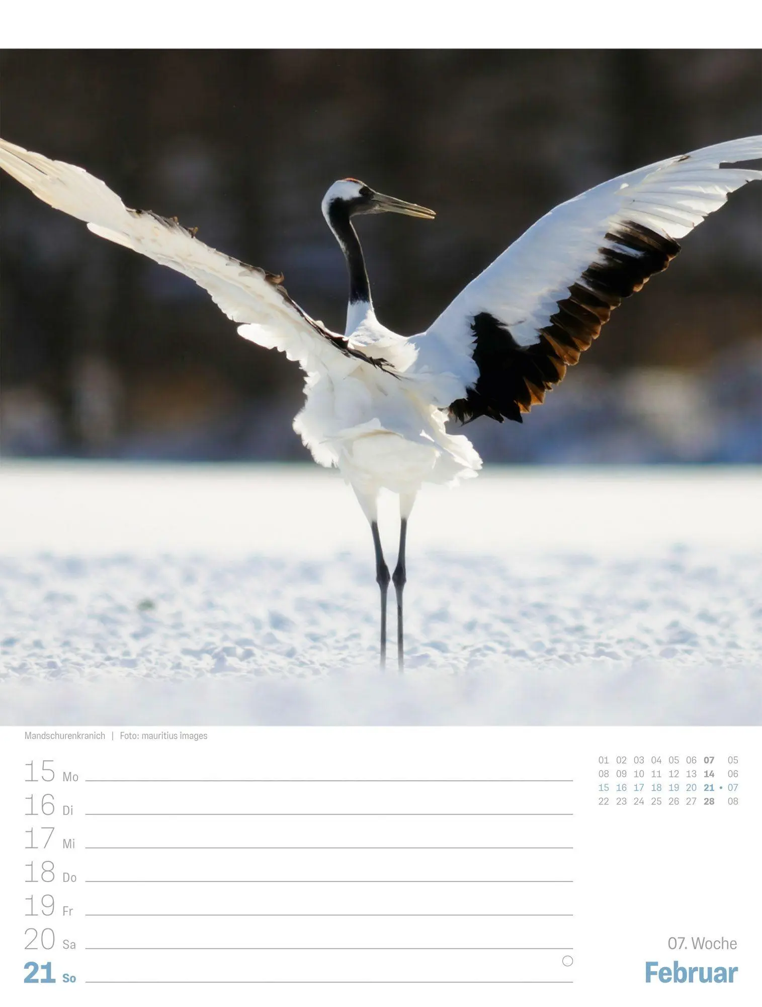 Bild: 9783838437057 | Japan Wochenplaner Kalender 2027 Das Land der aufgehenden Sonne | GmbH