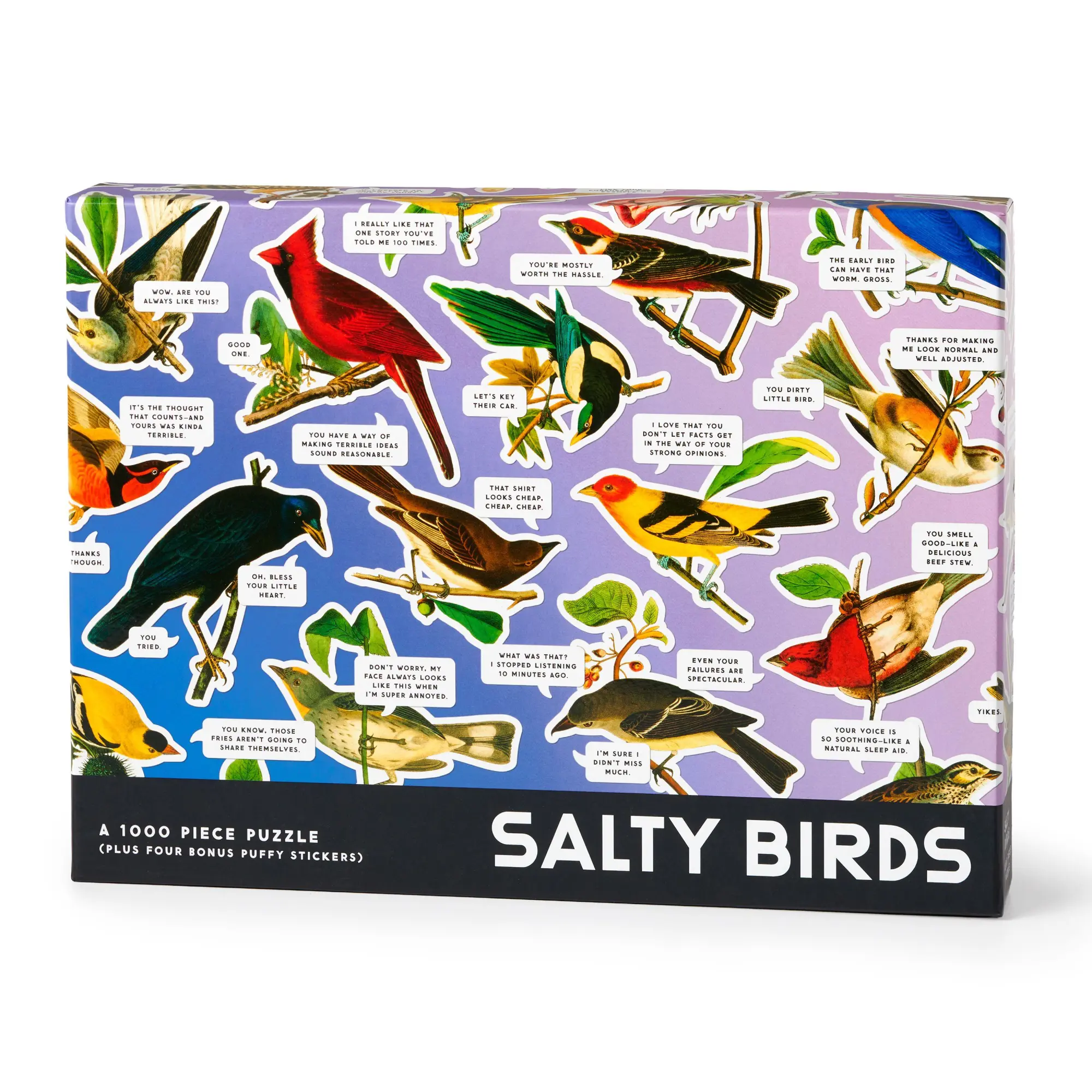 Cover: 9780735387157 | Salty Birds 1000 Piece Puzzle | Brass Brass Monkey | Englisch | 2026