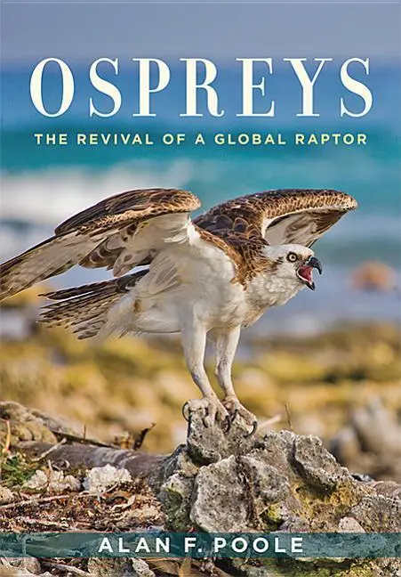 Cover: 9781421427157 | Ospreys | The Revival of a Global Raptor | Alan F Poole | Buch | 2019
