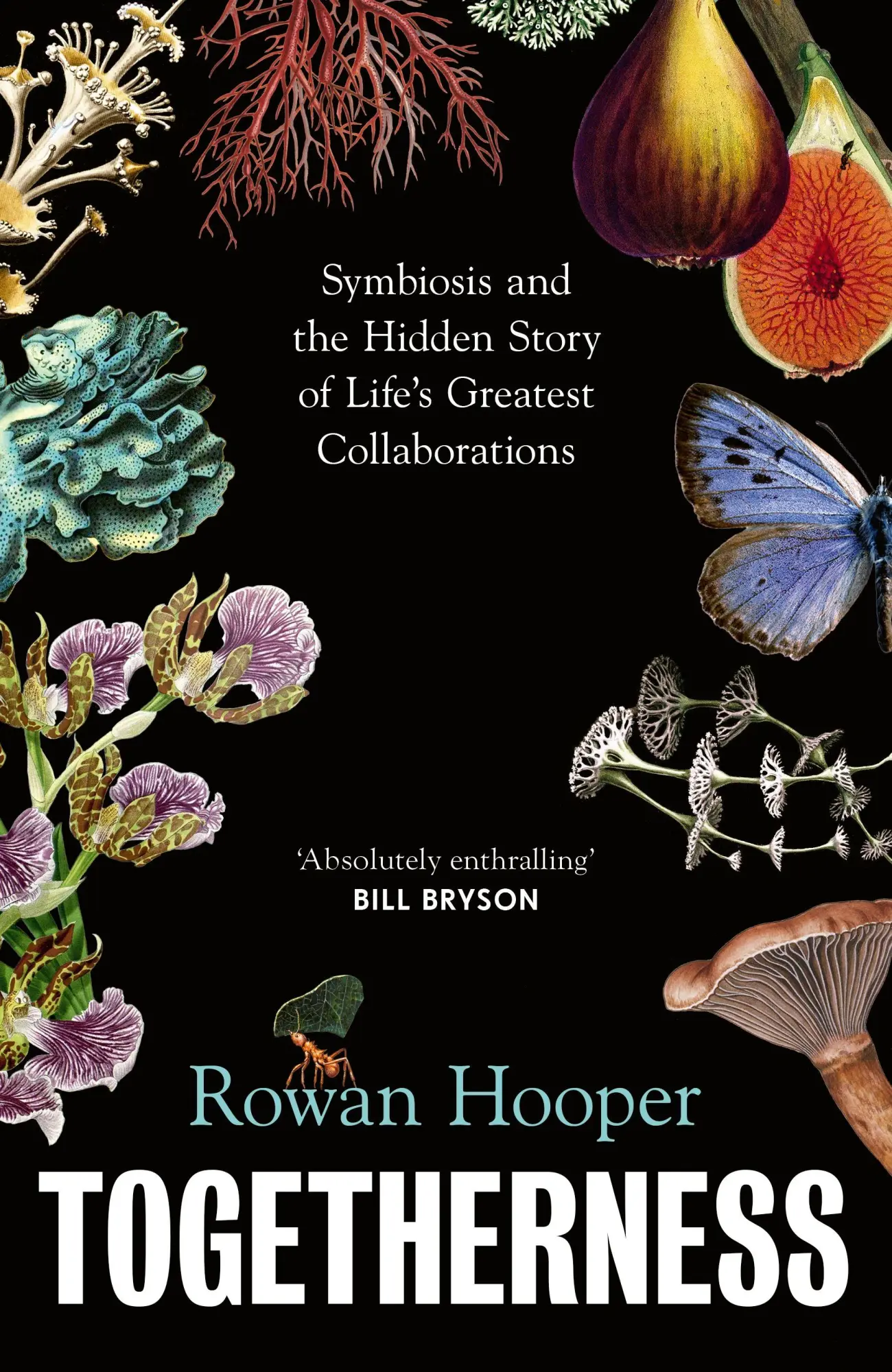 Cover: 9781911717157 | Togetherness | Rowan Hooper | Taschenbuch | Englisch | 2026