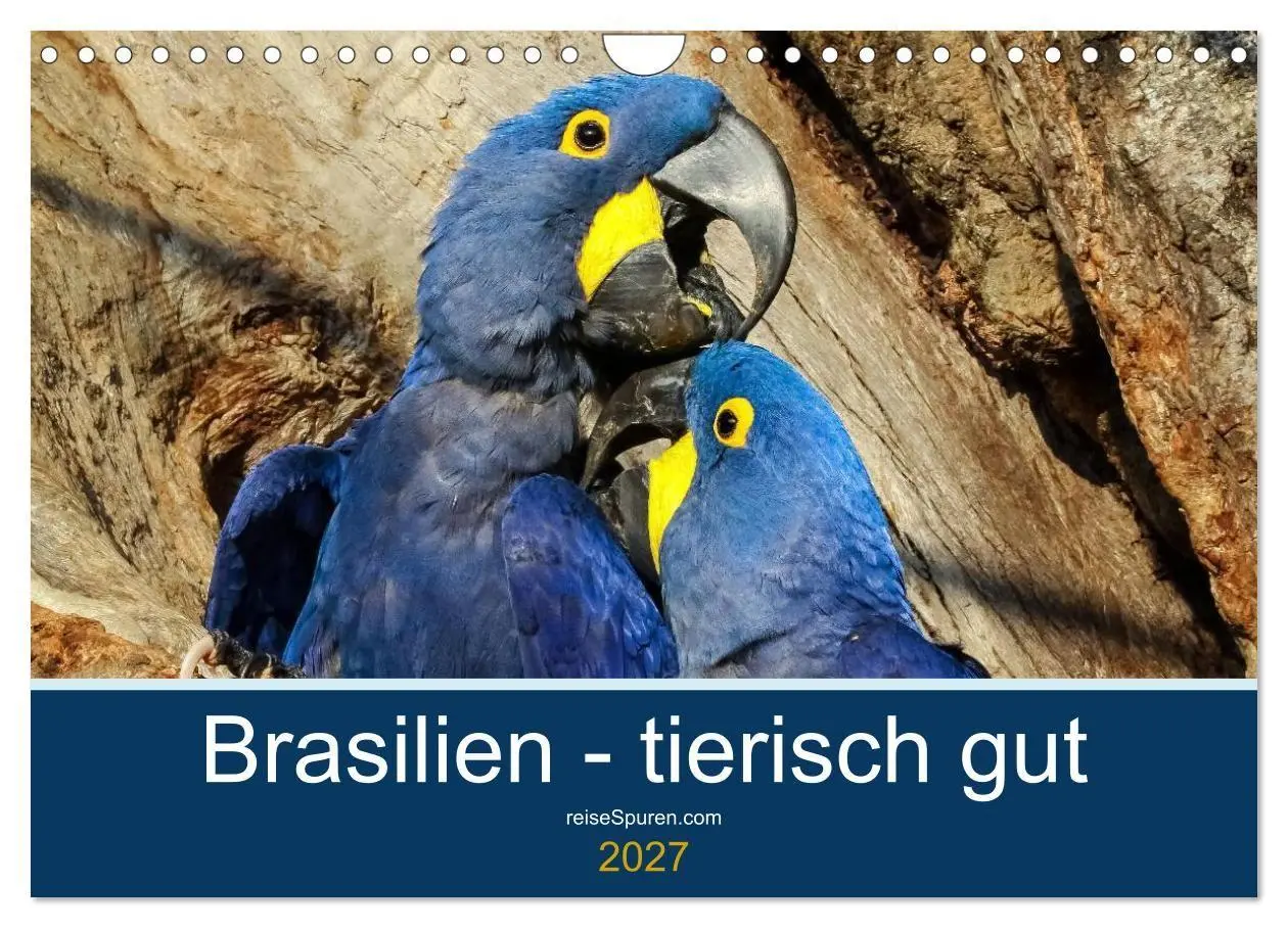 Cover: 9783594107157 | Brasilien tierisch gut 2027 (Wandkalender 2027 DIN A4 quer),...