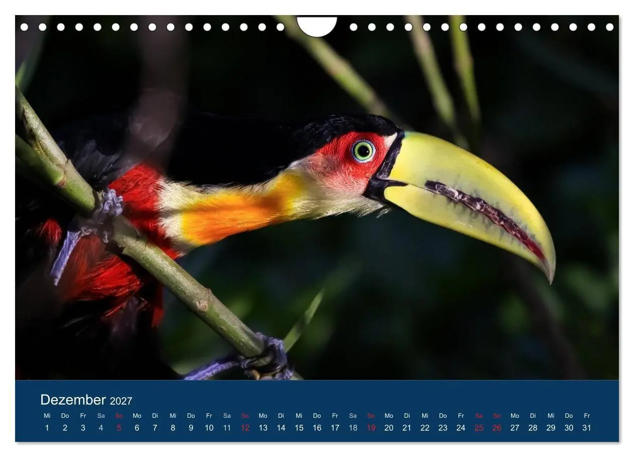 Bild: 9783594107157 | Brasilien tierisch gut 2027 (Wandkalender 2027 DIN A4 quer),...