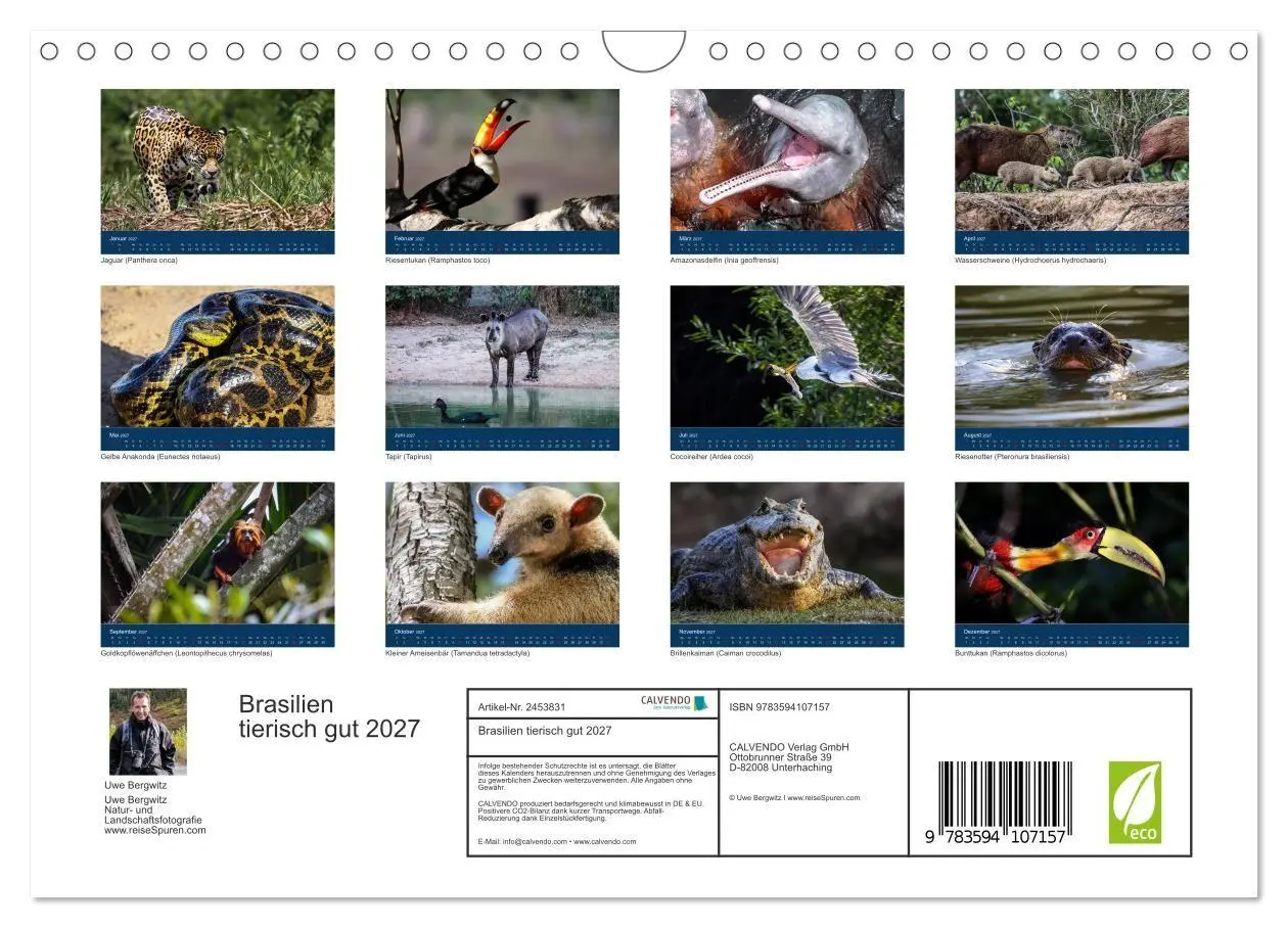 Bild: 9783594107157 | Brasilien tierisch gut 2027 (Wandkalender 2027 DIN A4 quer),...