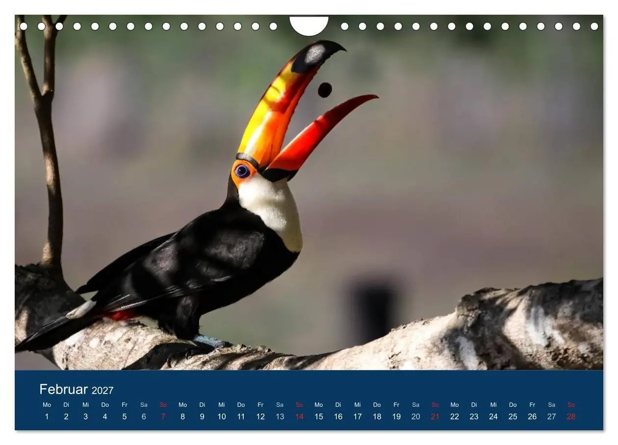 Bild: 9783594107157 | Brasilien tierisch gut 2027 (Wandkalender 2027 DIN A4 quer),...