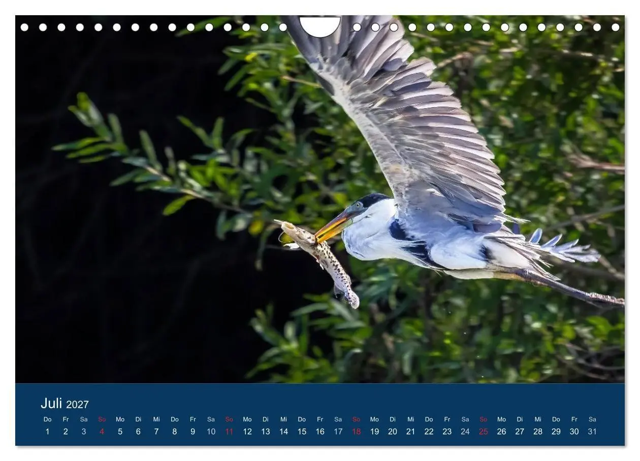 Bild: 9783594107157 | Brasilien tierisch gut 2027 (Wandkalender 2027 DIN A4 quer),...