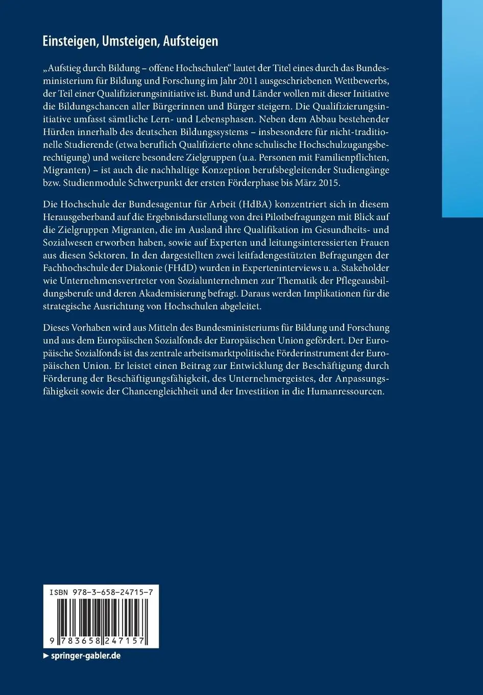Rückseite: 9783658247157 | Einsteigen, Umsteigen, Aufsteigen | Türkan Ayan | Taschenbuch | viii