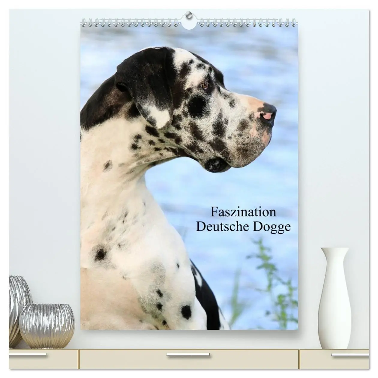 Cover: 9783516427257 | Faszination Deutsche Dogge (hochwertiger Premium Wandkalender 2026...