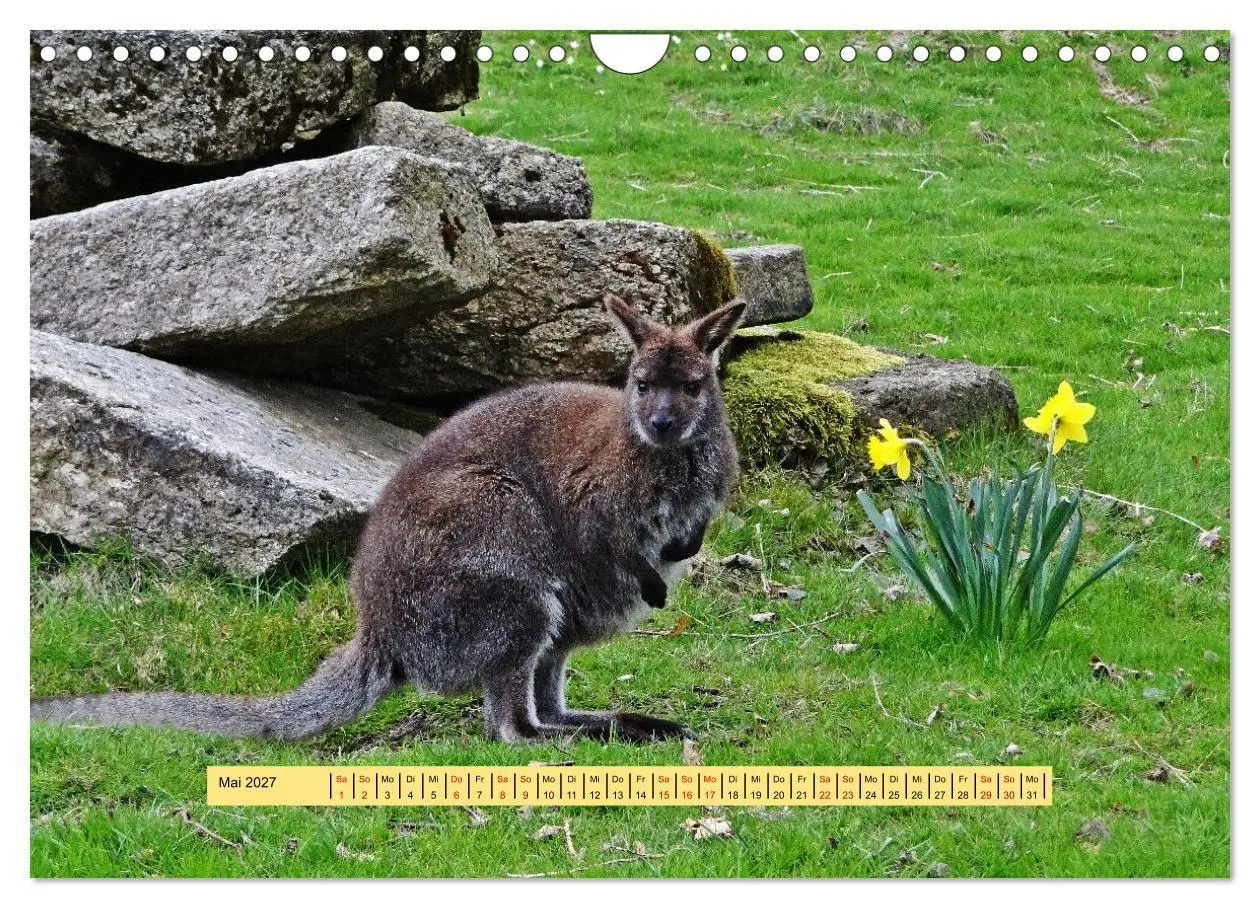 Bild: 9783594267257 | Fichtelgebirge - Naturgebiet zwischen Wäldern und Felsen...