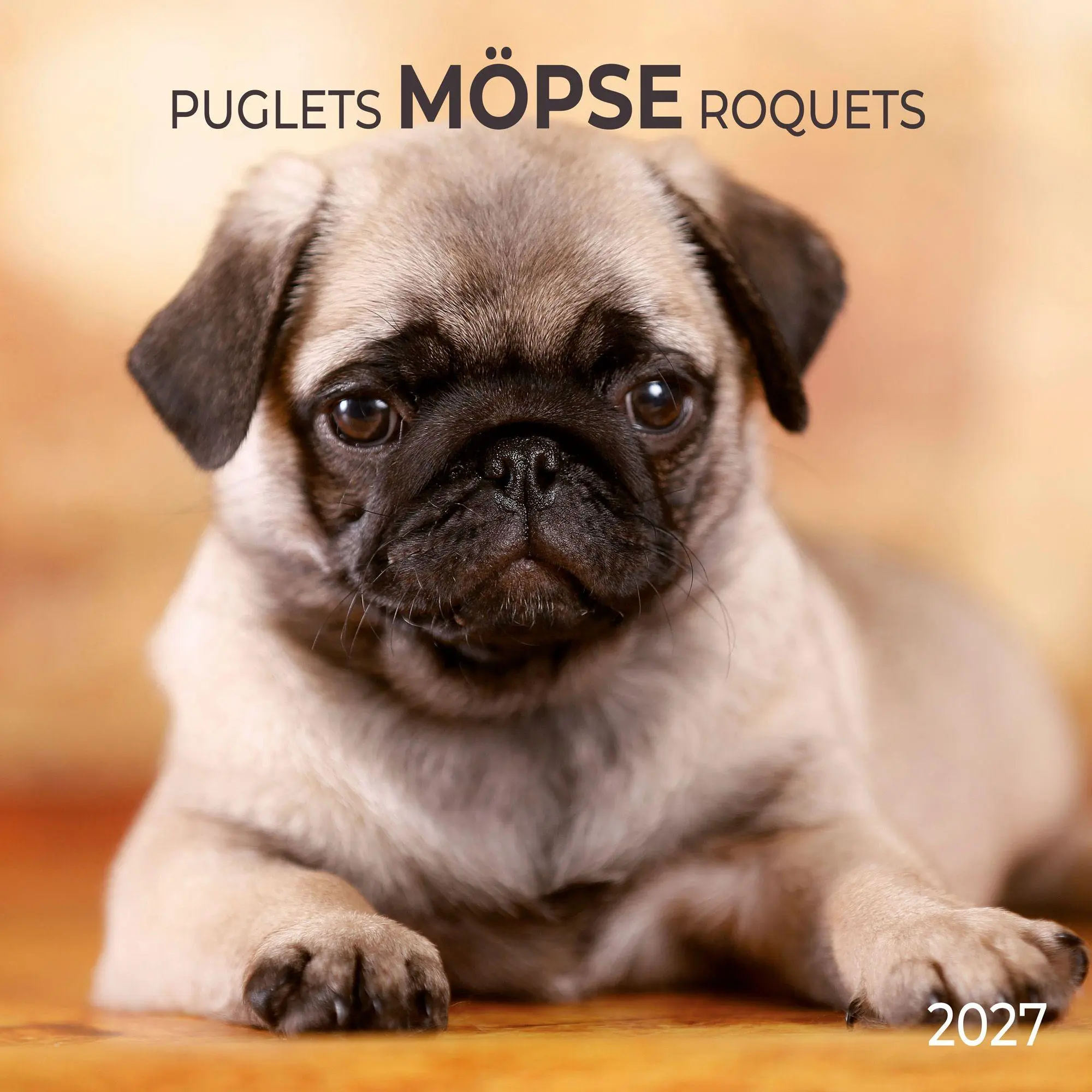 Cover: 9783959297257 | Möpse / Puglets 2027 | Kalender 2027 | Kalender | Artwork Edition