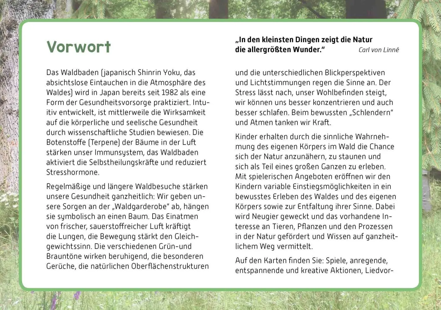 Bild: 4260179517457 | Raus in den Wald! | Carola Bambas (u. a.) | Box | 32 S. | Deutsch