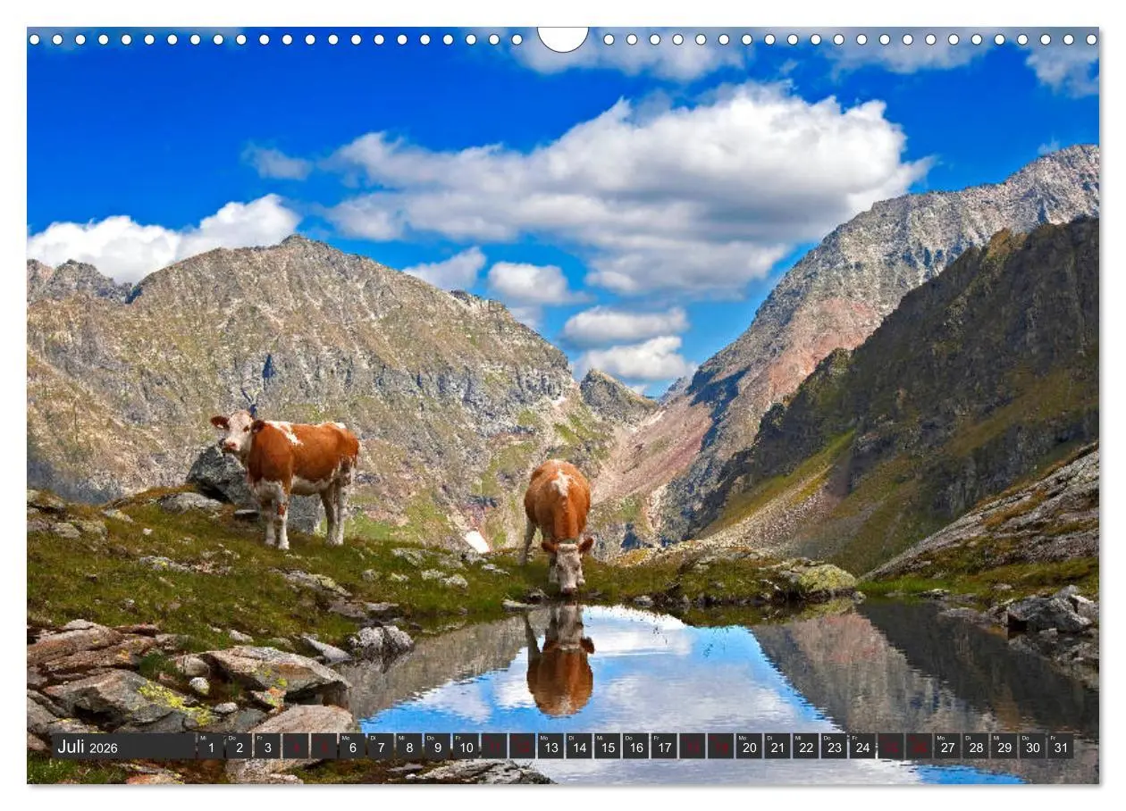Bild: 9783457867457 | Kimm eina in den Lungau (Wandkalender 2026 DIN A3 quer), CALVENDO...