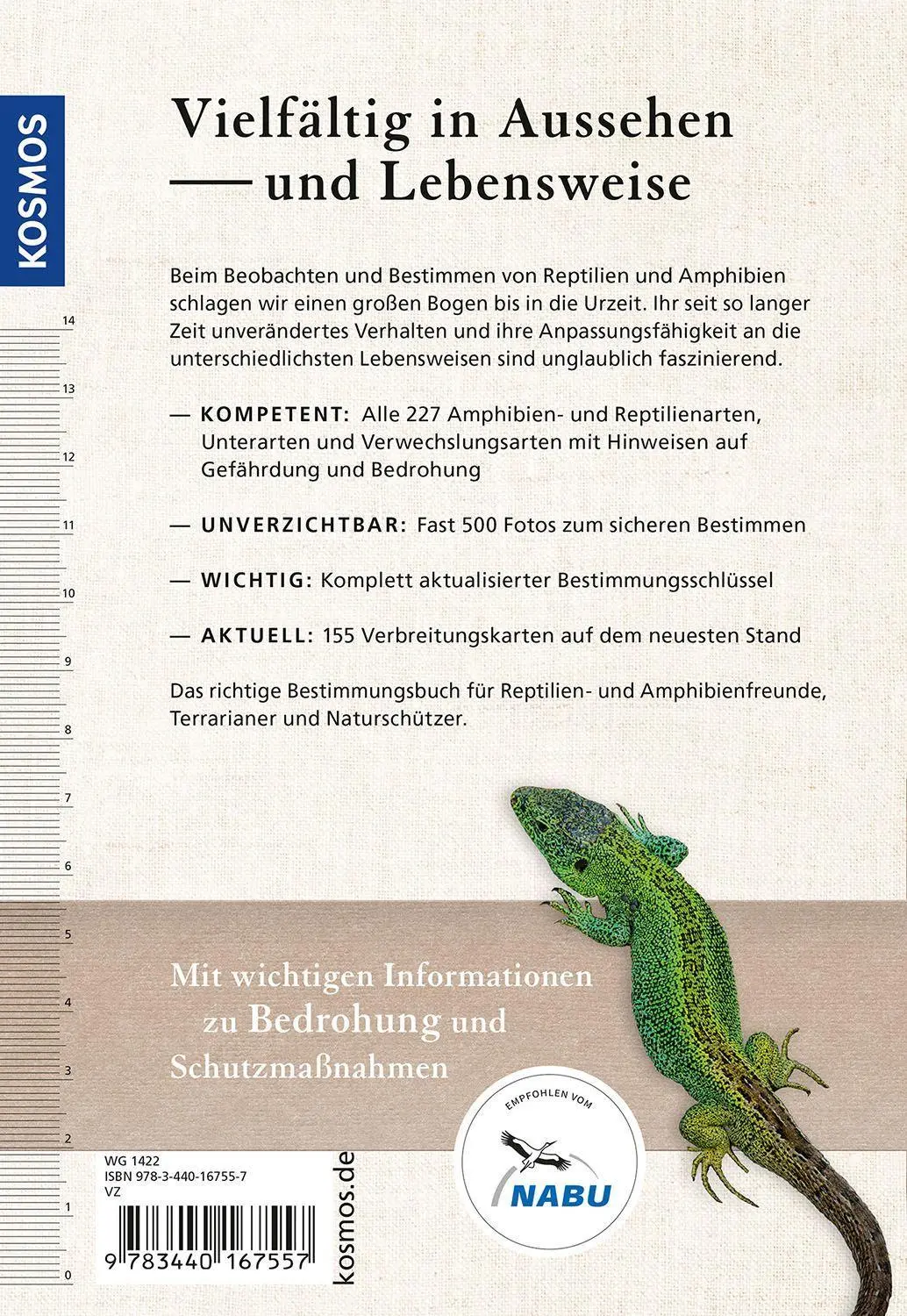 Bild: 9783440167557 | Reptilien und Amphibien Europas | Axel Kwet | Taschenbuch | 352 S.