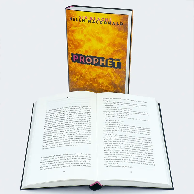 Bild: 9783446277557 | Prophet | Roman | Sin Blaché (u. a.) | Buch | 528 S. | Deutsch | 2023