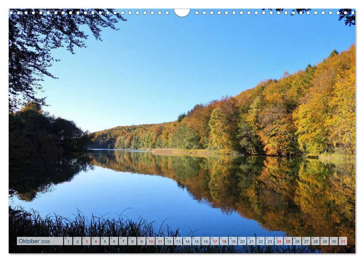 Bild: 9783457547557 | Magisches Ostholstein (Wandkalender 2026 DIN A3 quer), CALVENDO...