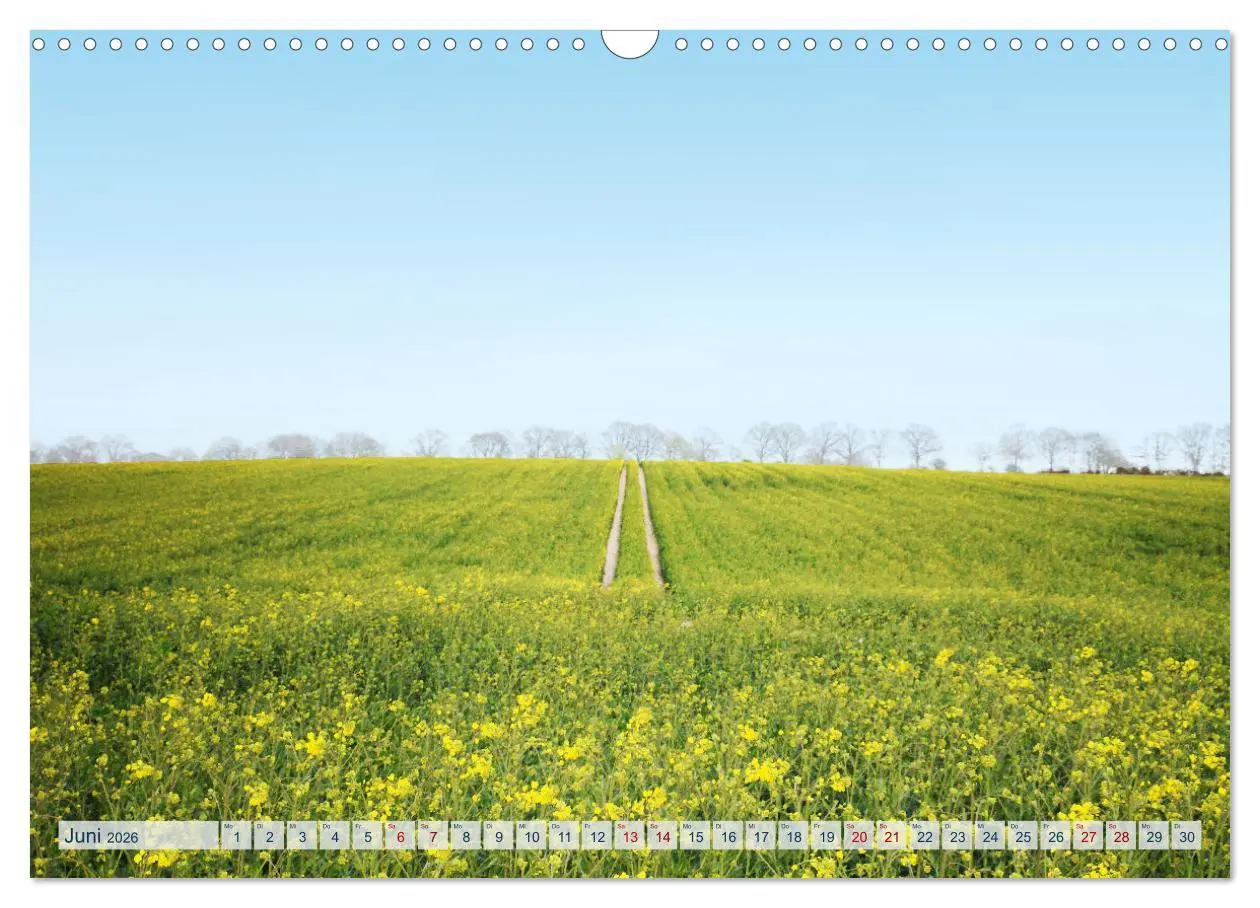 Bild: 9783457547557 | Magisches Ostholstein (Wandkalender 2026 DIN A3 quer), CALVENDO...
