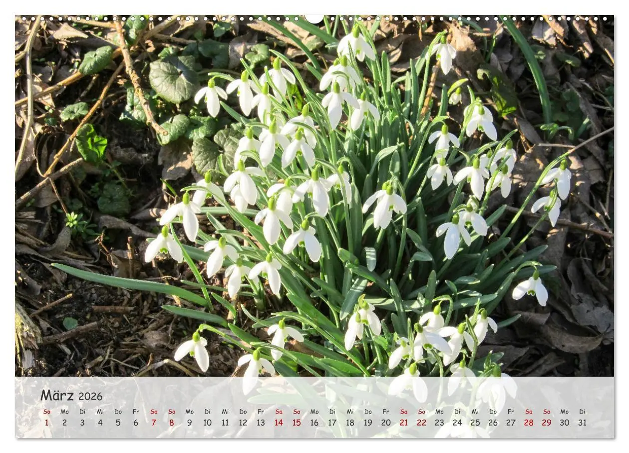 Bild: 9783457397657 | Vier Jahreszeiten - Eine Welt (hochwertiger Premium Wandkalender...