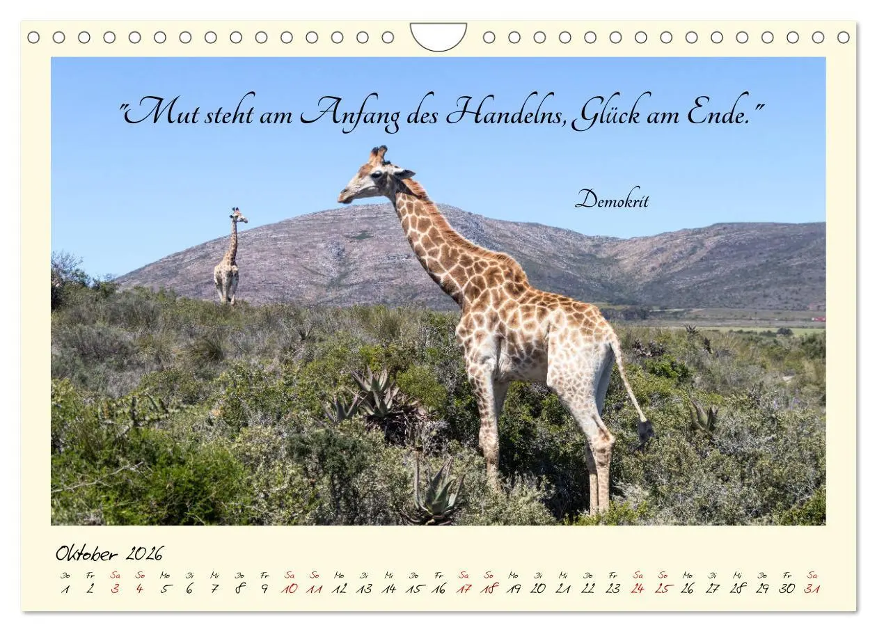 Bild: 9783457777657 | Glücksmomente Glücks-Zitate zu Fotos der großartigen...