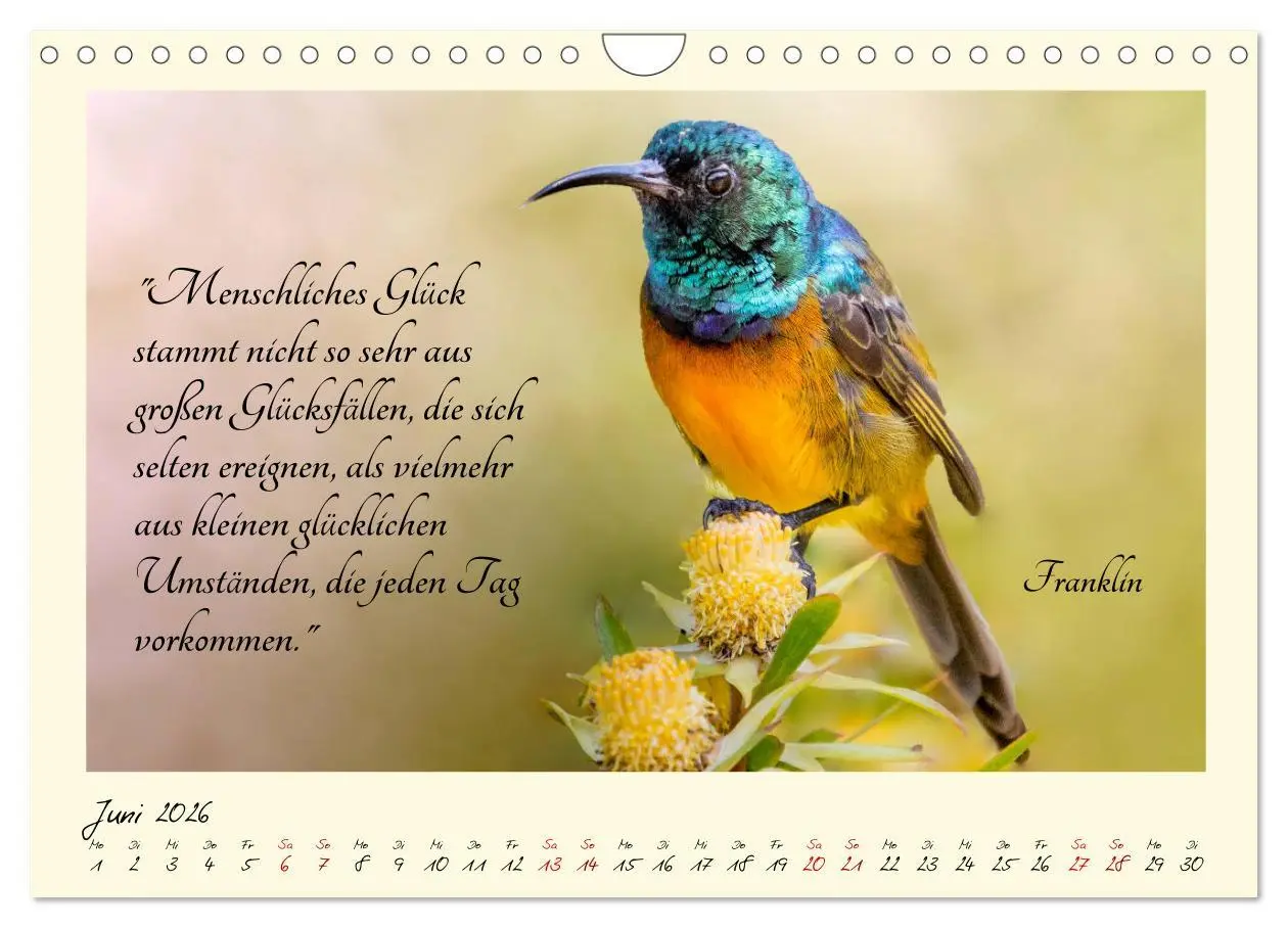 Bild: 9783457777657 | Glücksmomente Glücks-Zitate zu Fotos der großartigen...