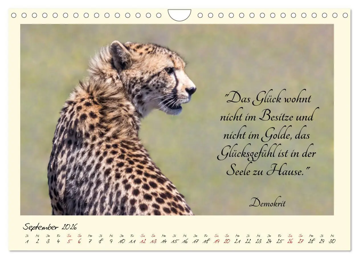 Bild: 9783457777657 | Glücksmomente Glücks-Zitate zu Fotos der großartigen...