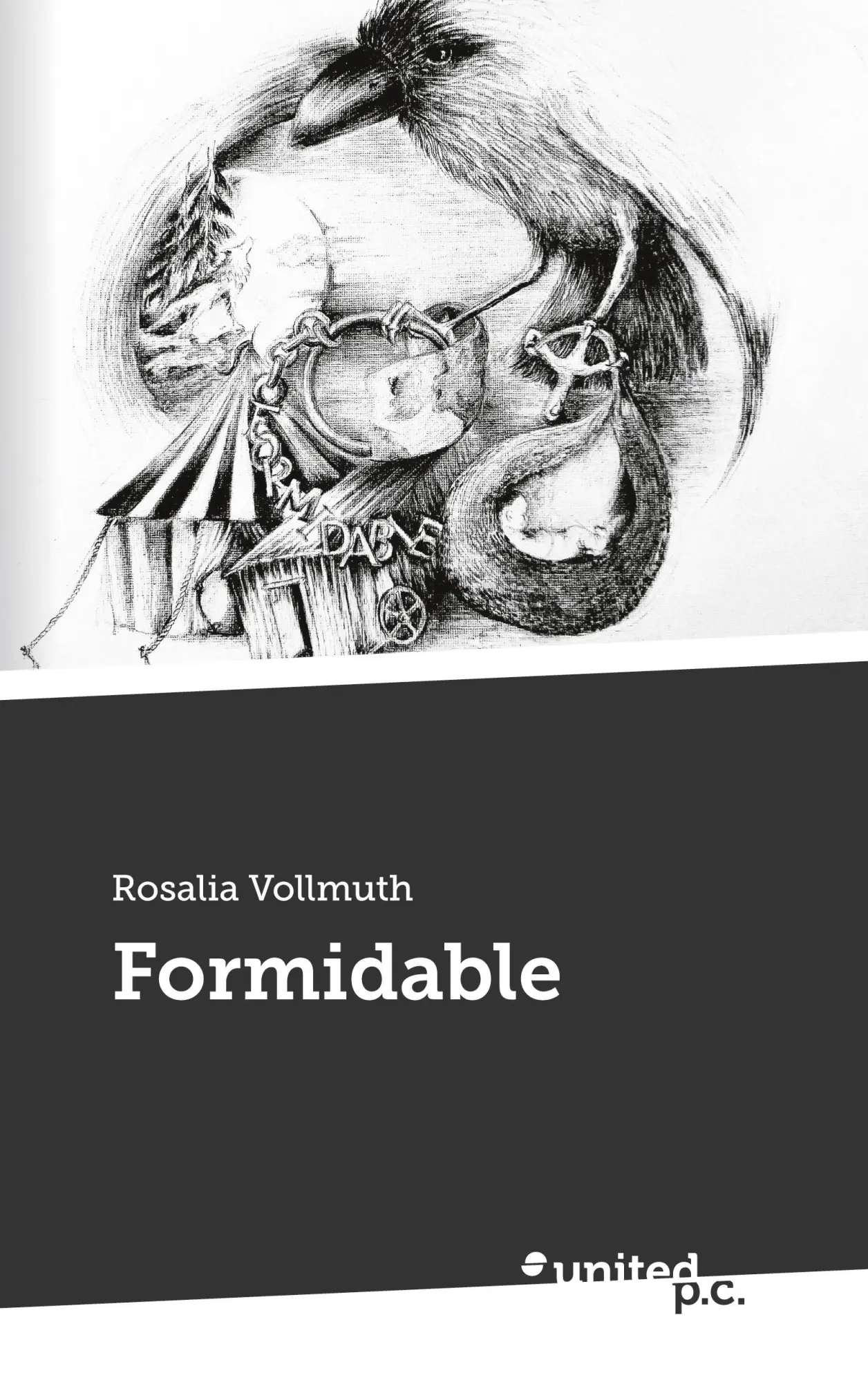 Cover: 9783710357657 | Formidable | Rosalia Vollmuth | Taschenbuch | 312 S. | Deutsch | 2024