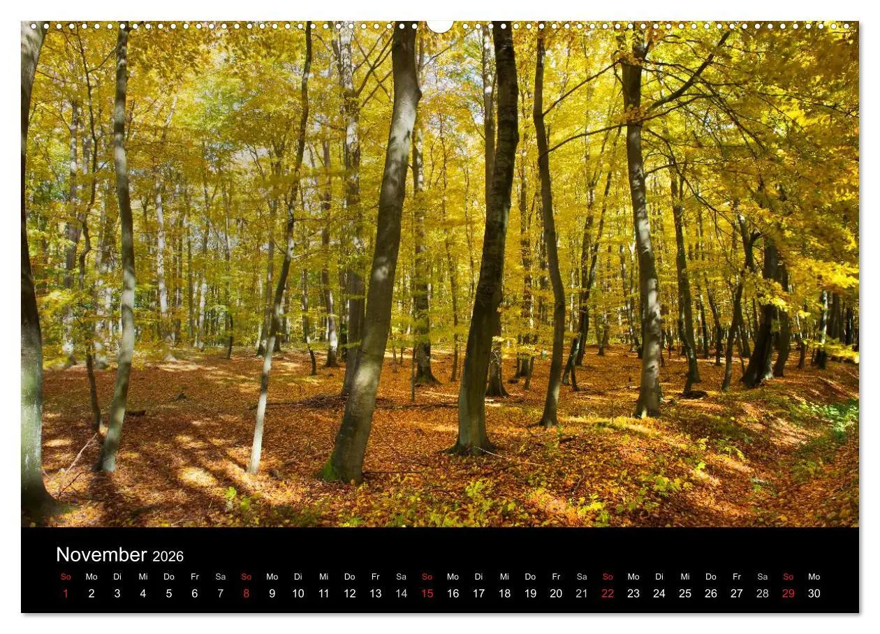 Bild: 9783516097757 | Mecklenburg - Vorpommern (hochwertiger Premium Wandkalender 2026...
