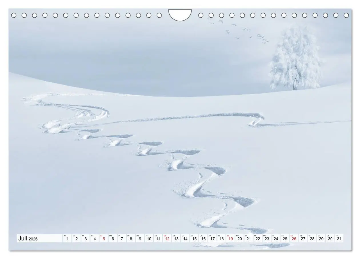 Bild: 9783457827857 | Winter. Zauberhafte Schneelandschaften (Wandkalender 2026 DIN A4...