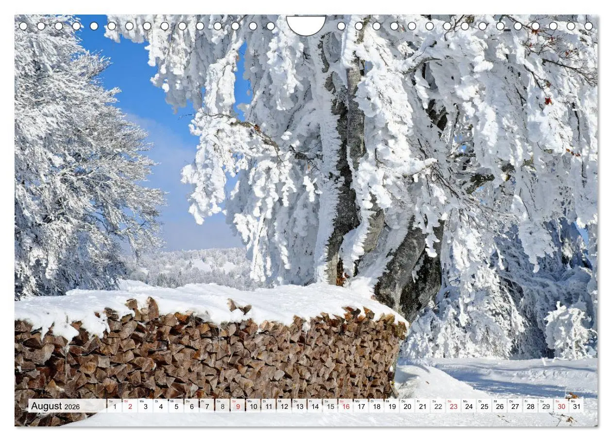 Bild: 9783457827857 | Winter. Zauberhafte Schneelandschaften (Wandkalender 2026 DIN A4...